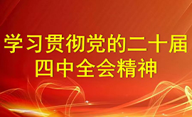 学习贯彻党的二十届四中全会精神